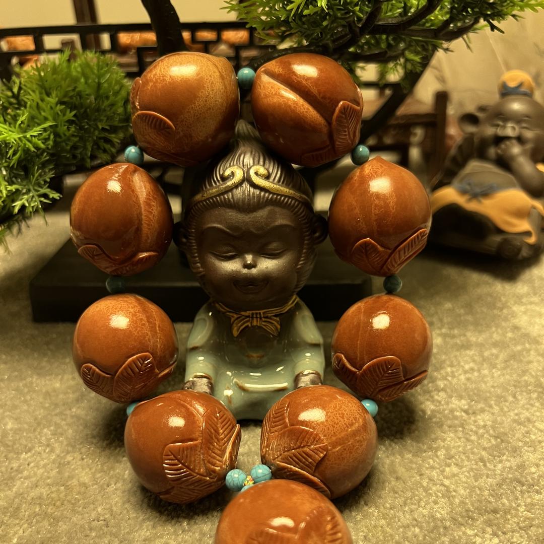 老王巴西大橄榄