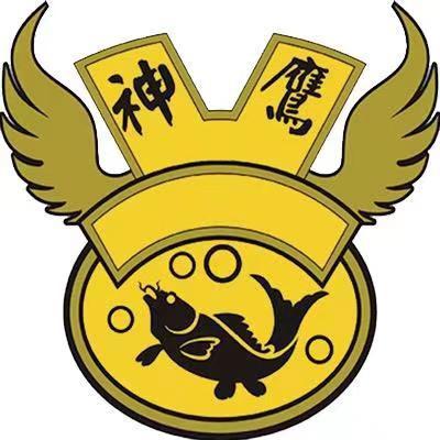 神鹰户外官方直播间