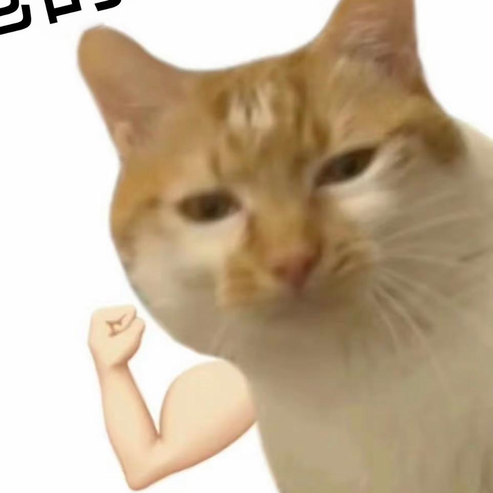 划过