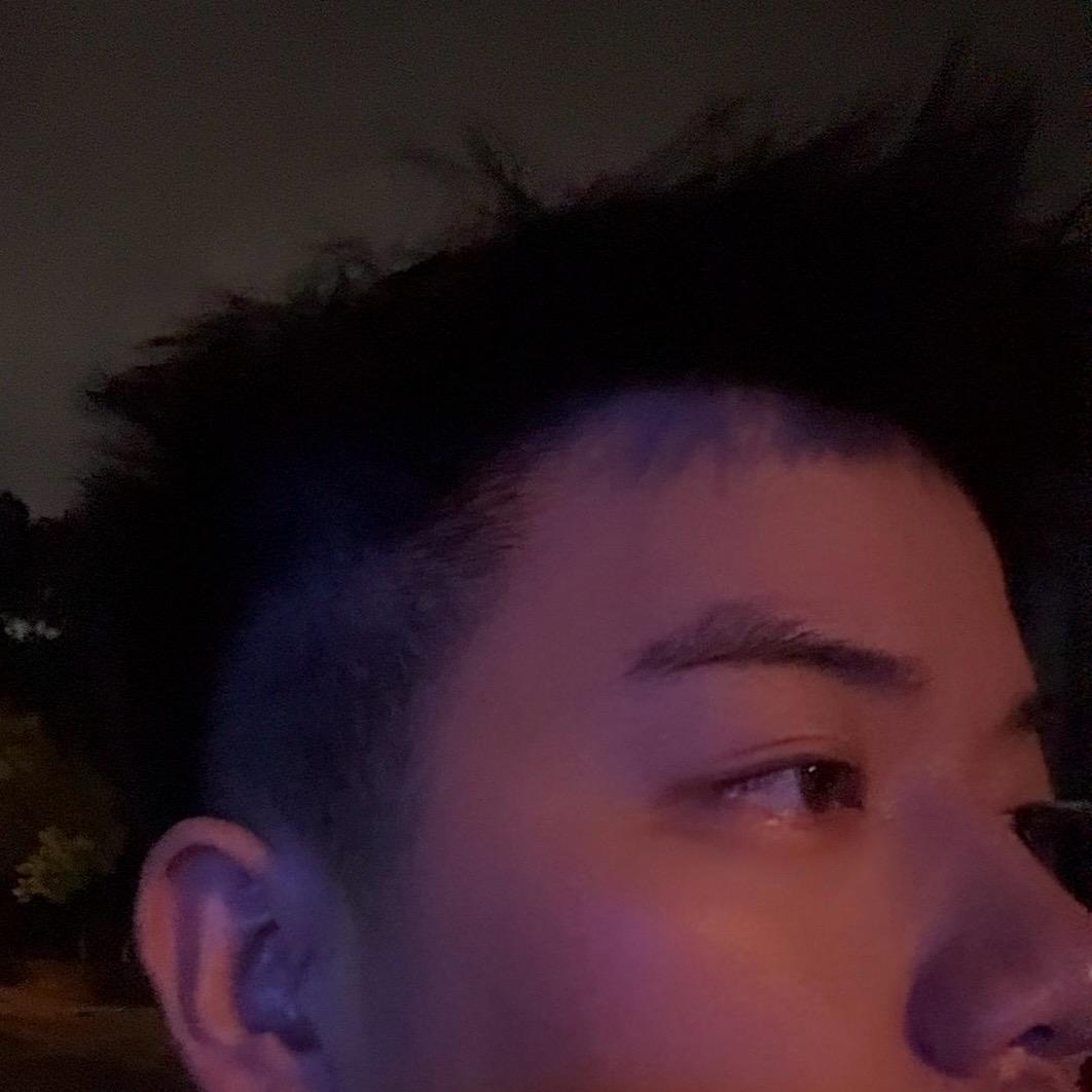 贝勒日记本