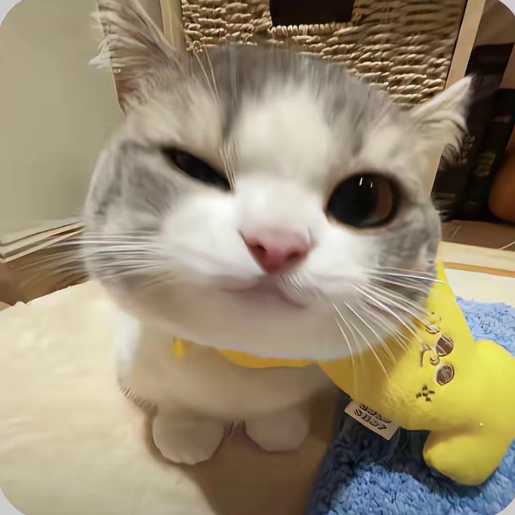 伦轮纶