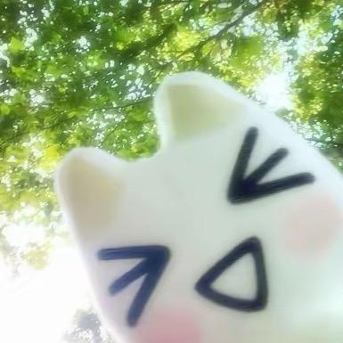 一只猫猫喵