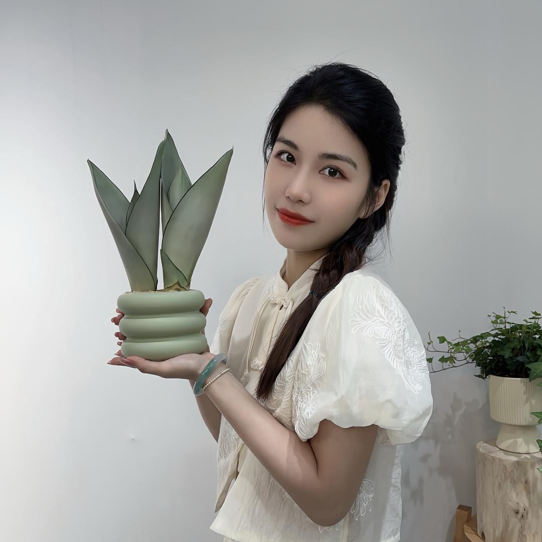花植屋花卉绿植