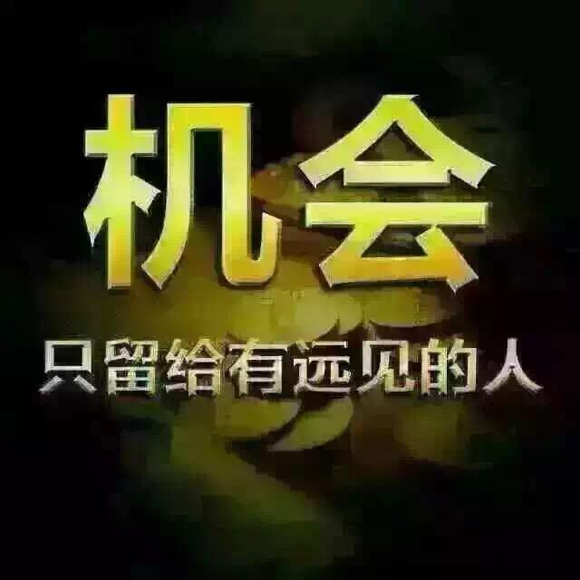 鑫哥在创业