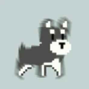 doge
