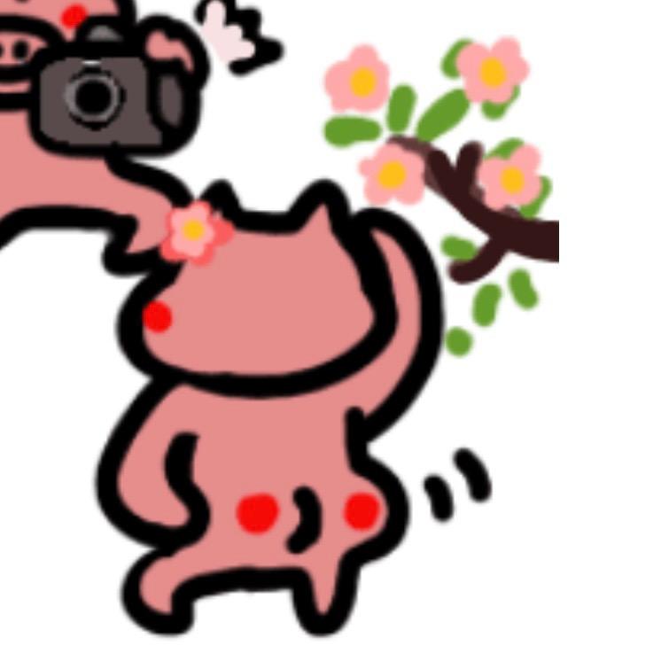 净华绿