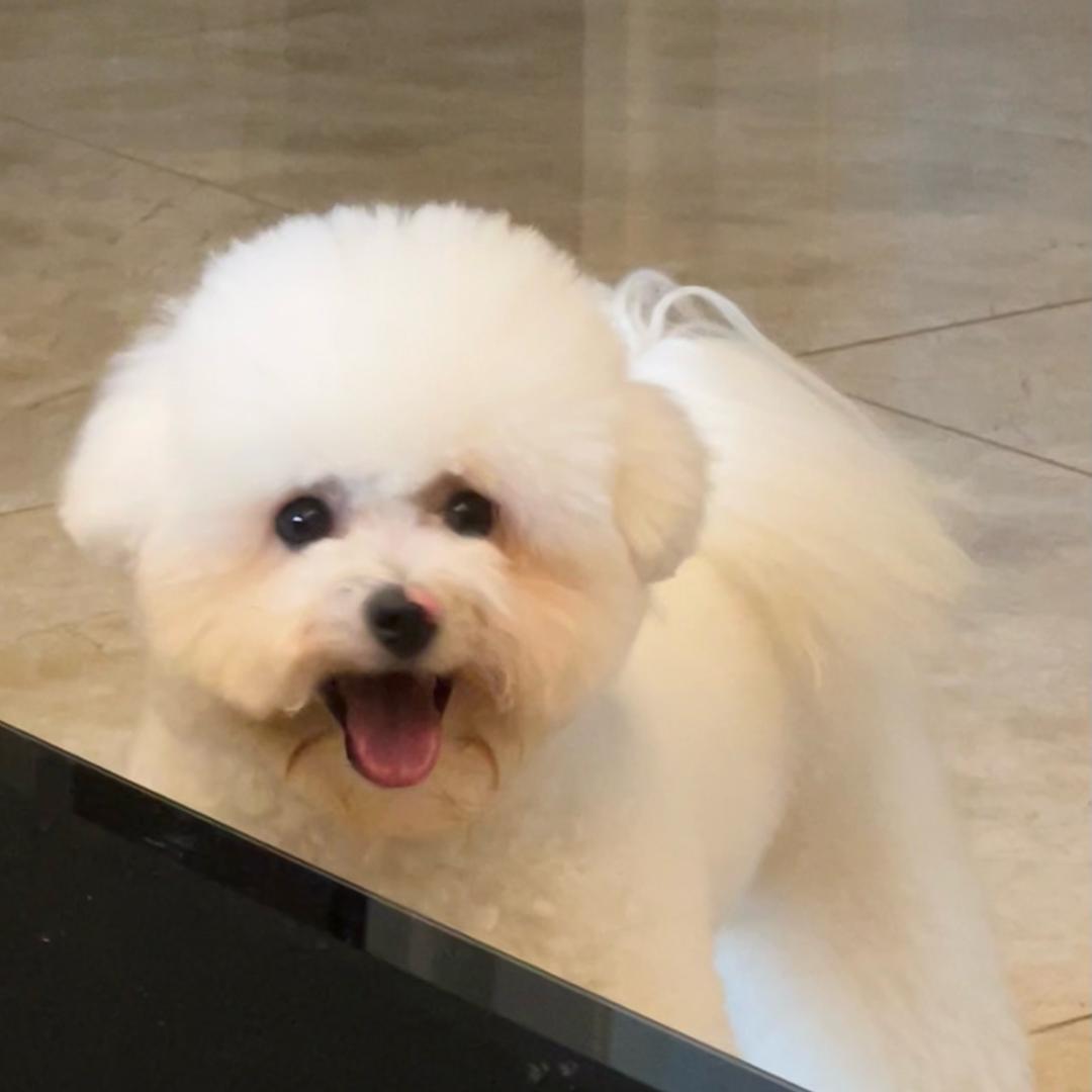 是阿思啊！