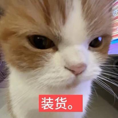 张子蛋· 鹏票