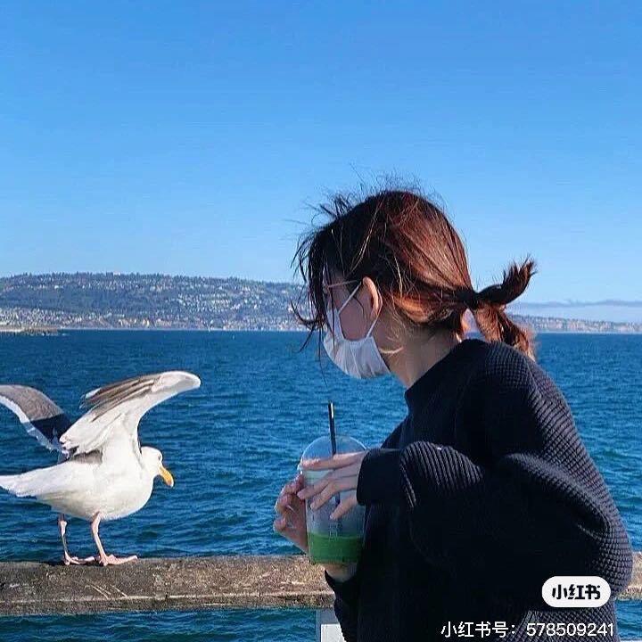 合肥安安