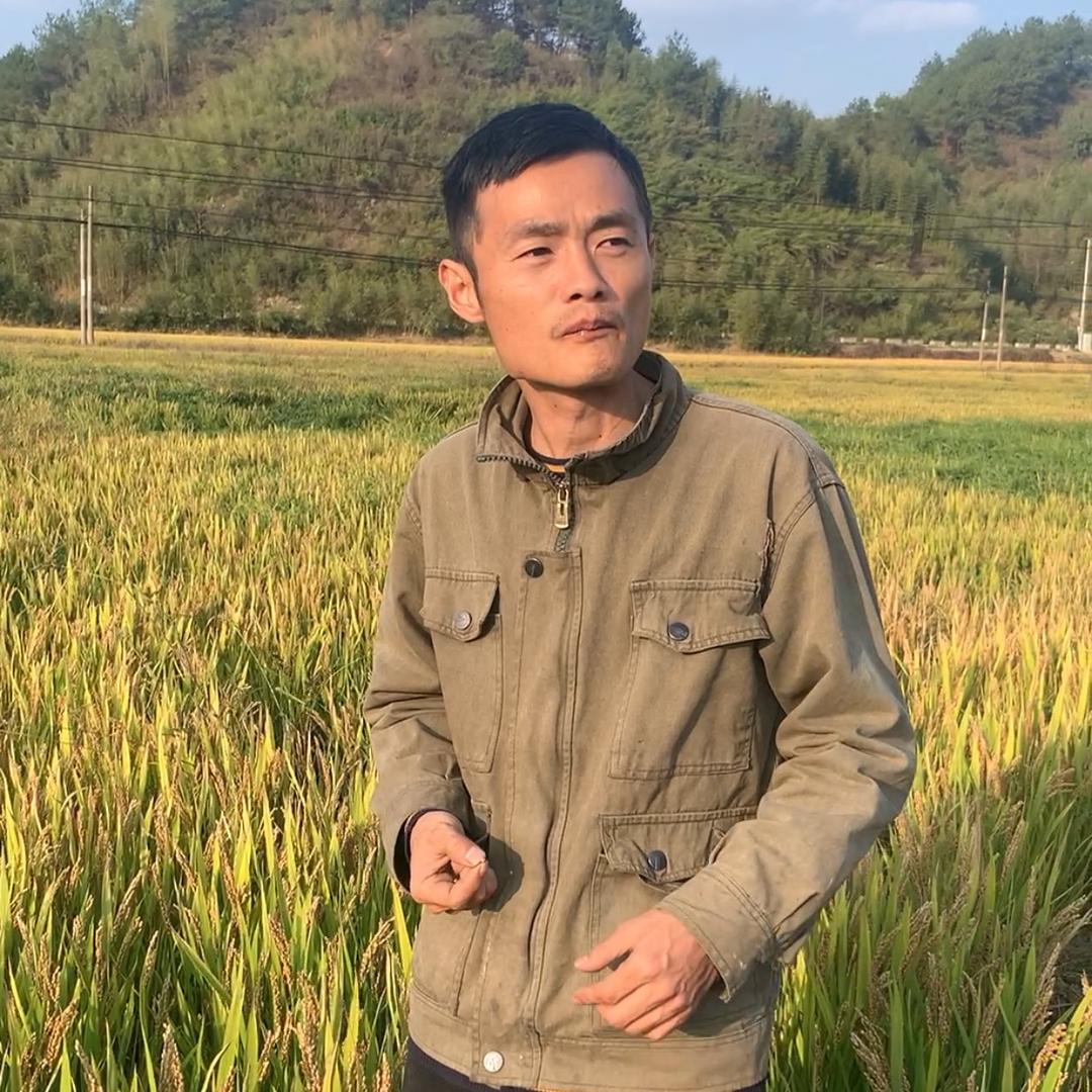 山村汪汪
