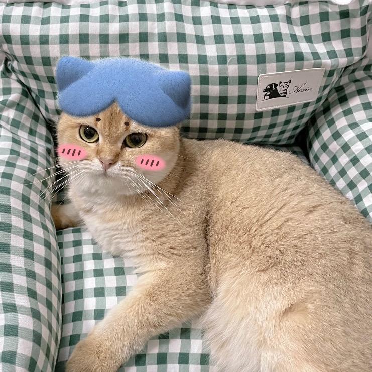 我有的是谷子