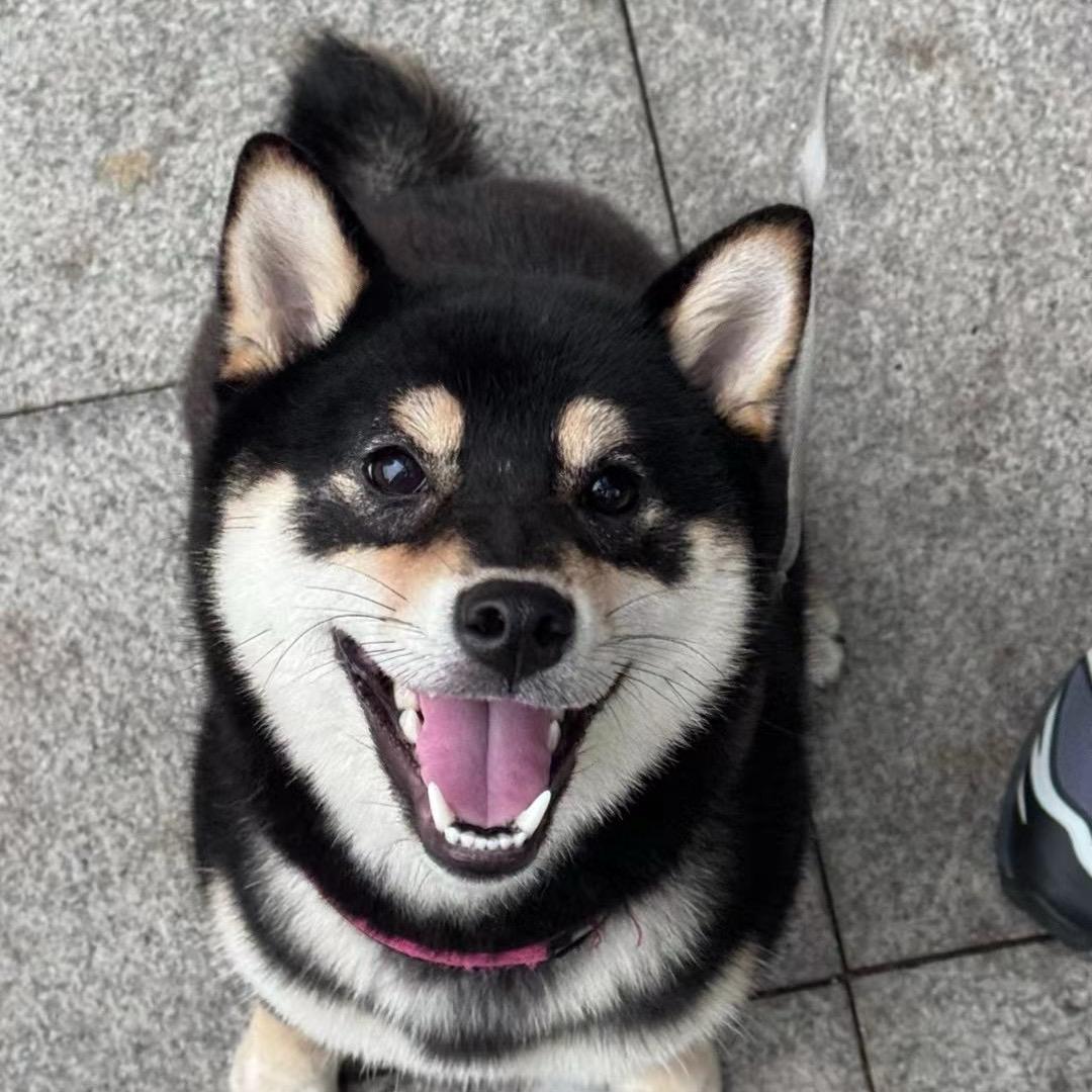 森屿
