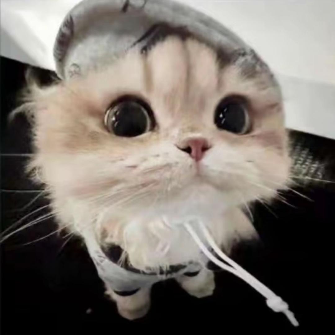 小 瑶.