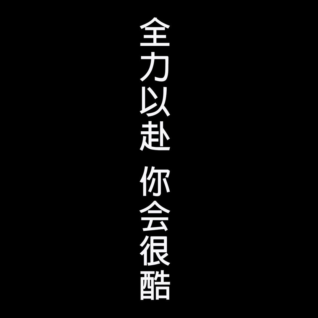 安徽飞林羽绒