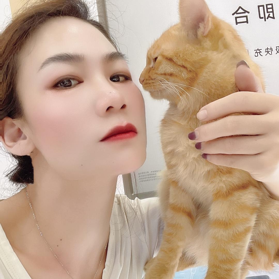 宝姐姐的团团