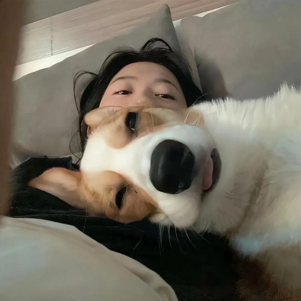 楸