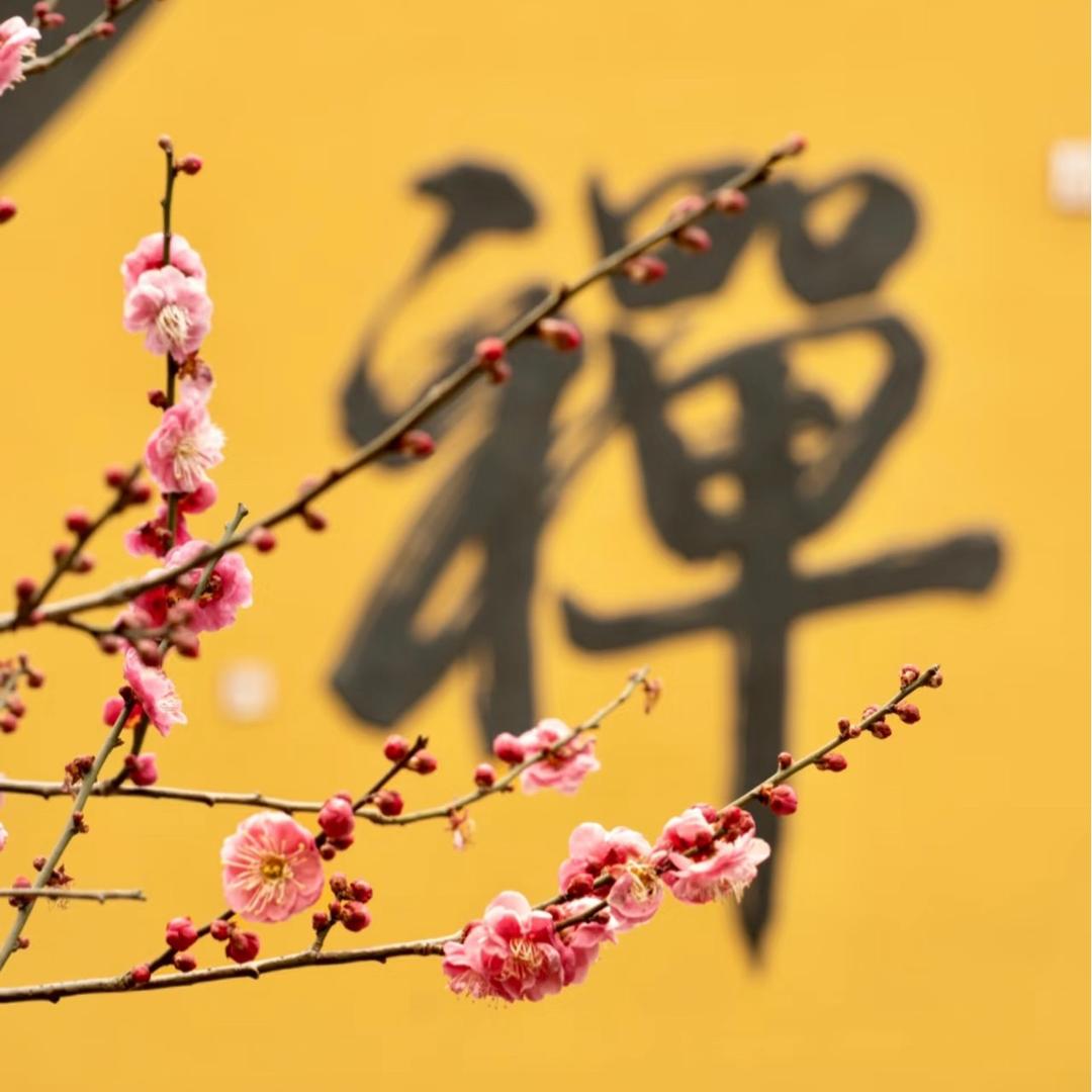 纳福迎祥