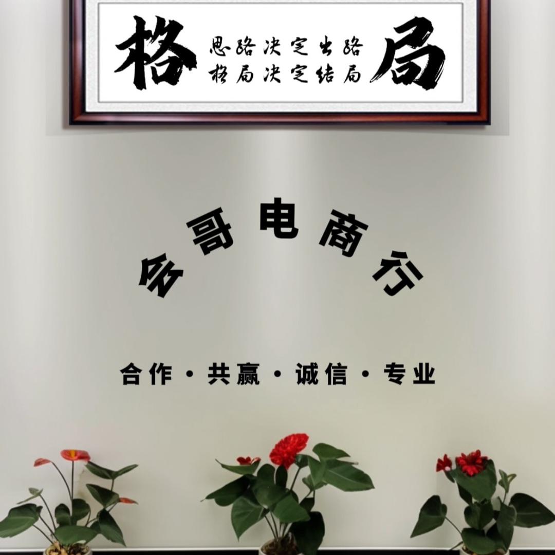 会哥电商行