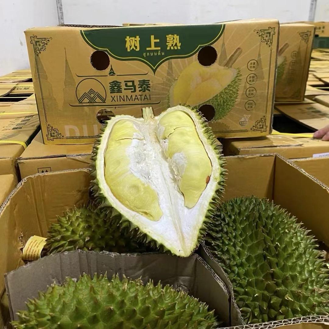 鑫马泰-泰国树熟榴莲前端品控