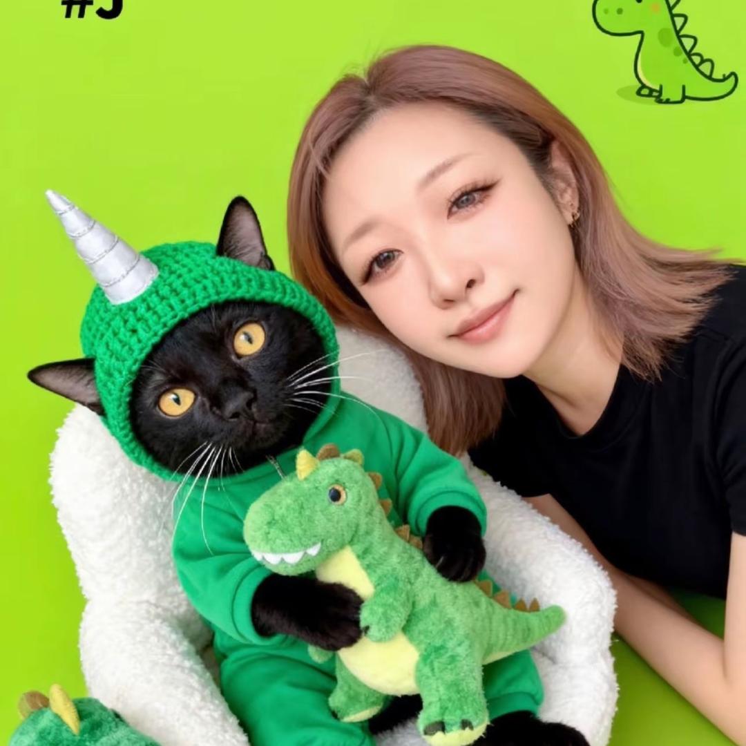 六六是只小黑猫🐈‍⬛