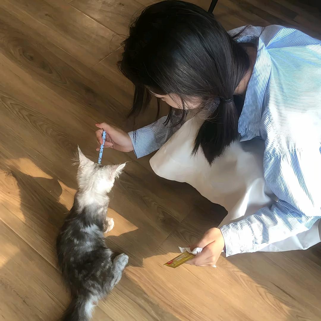 榴莲脑袋.