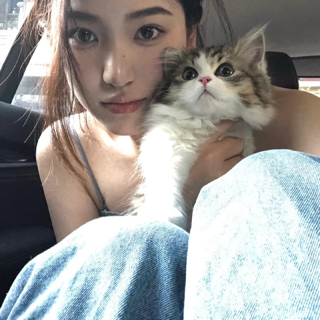 哈哈呼