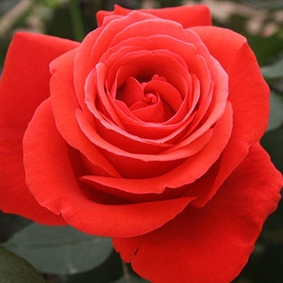 往事清零🌷✨
