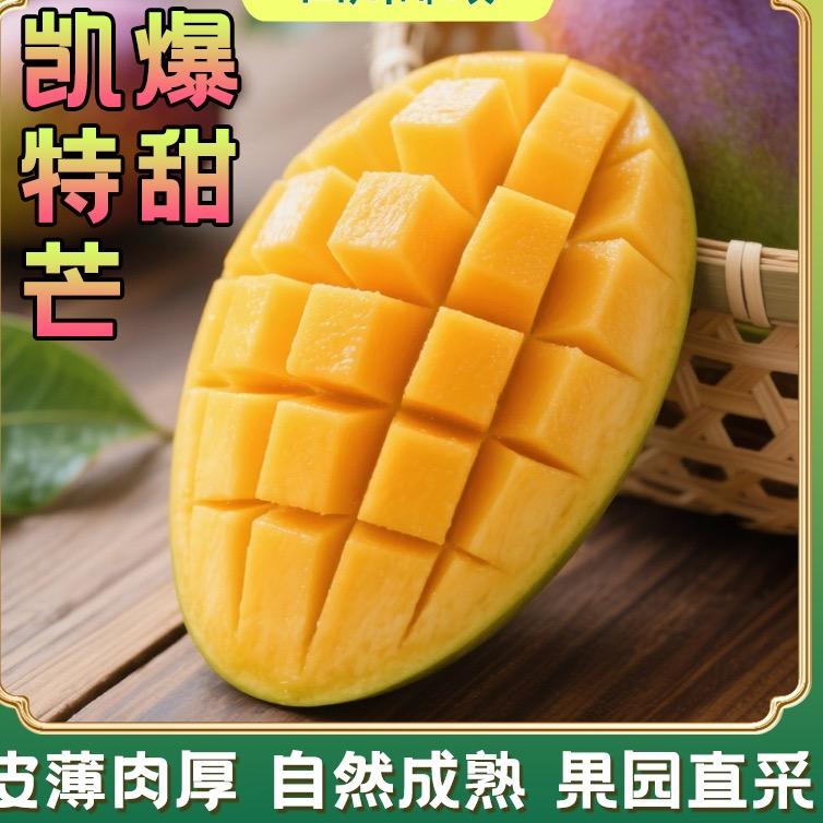 攀枝花凯特芒