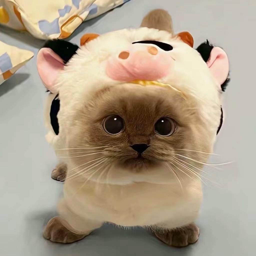 小张