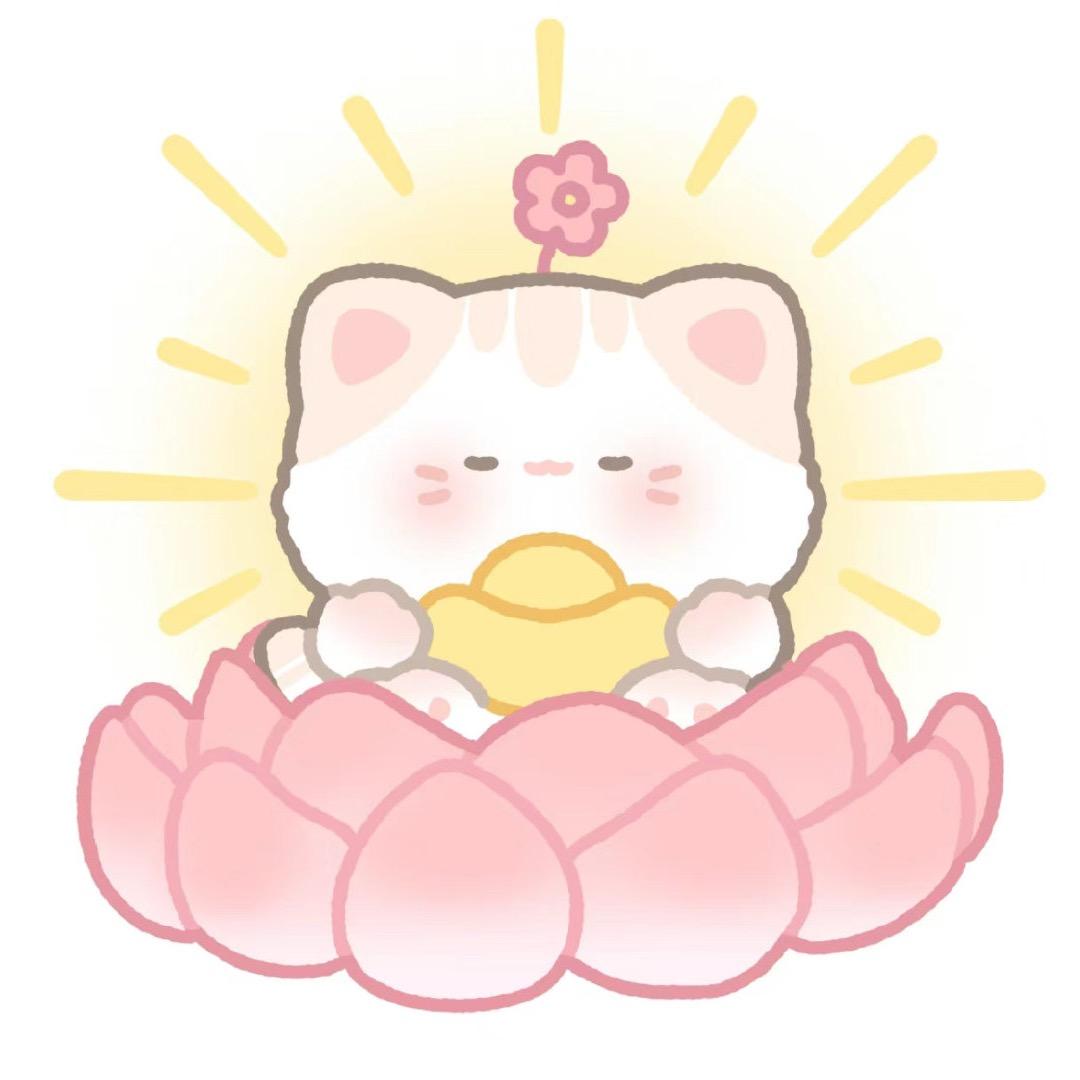小海豚🐬