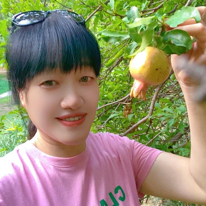 郁金香