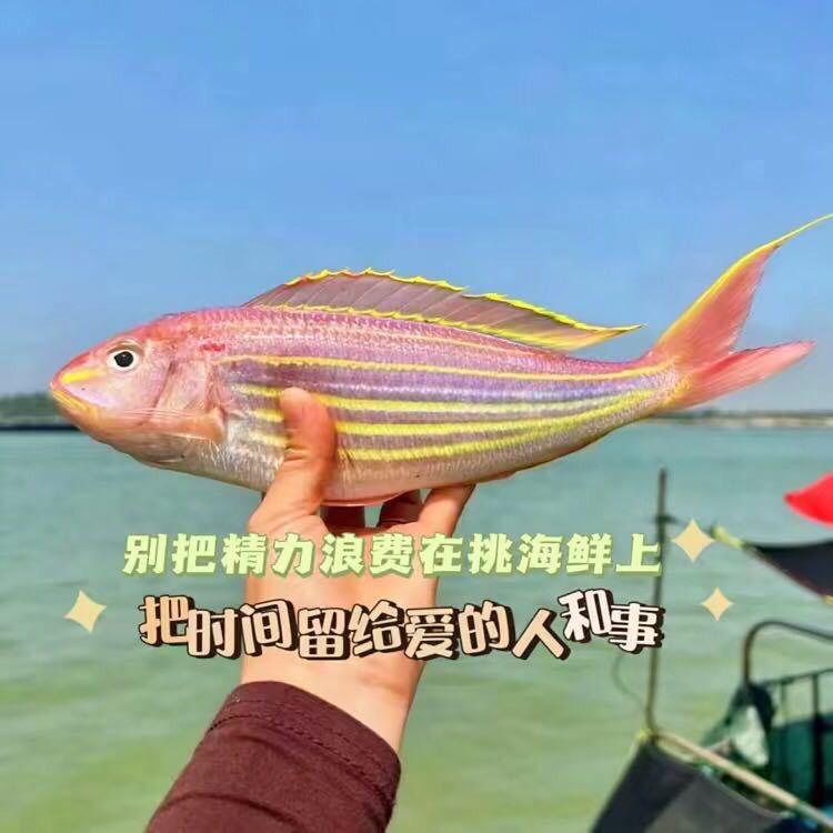 渔村阿福