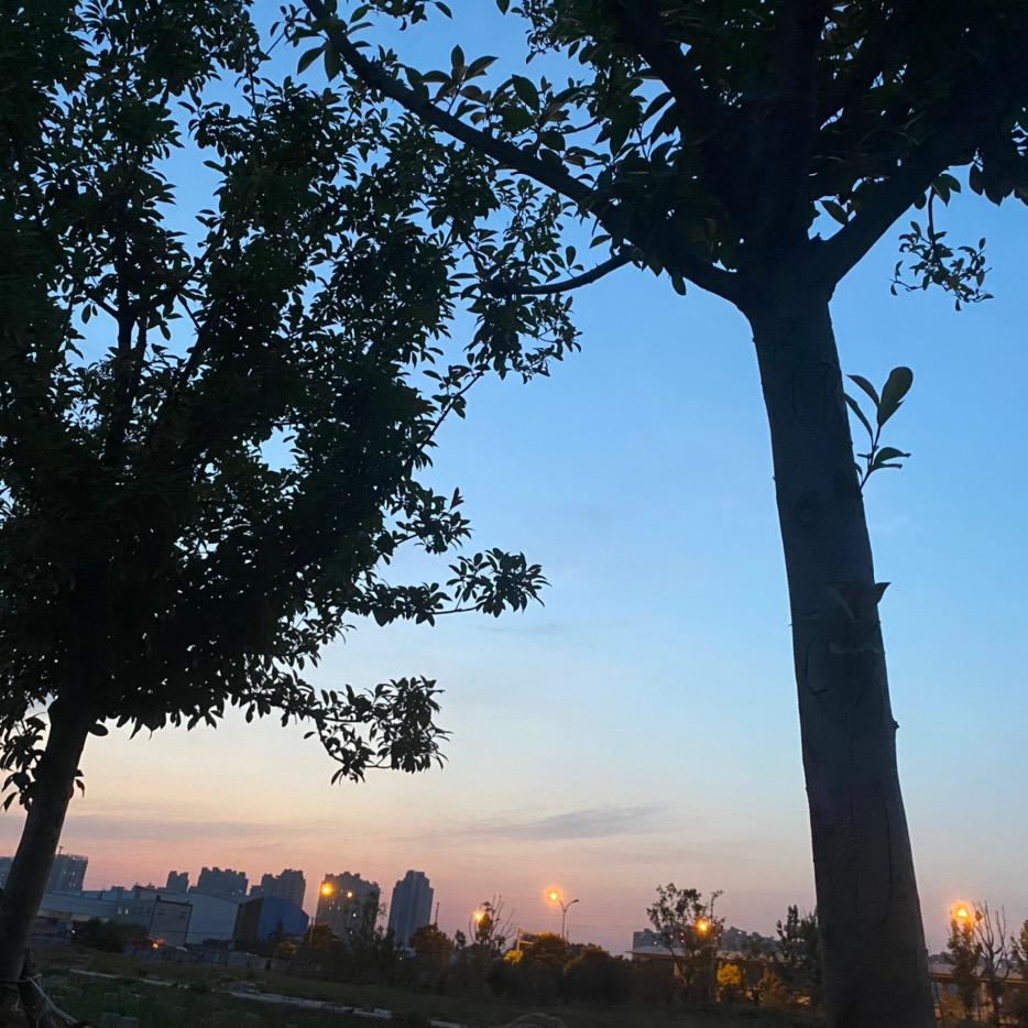 张zhang
