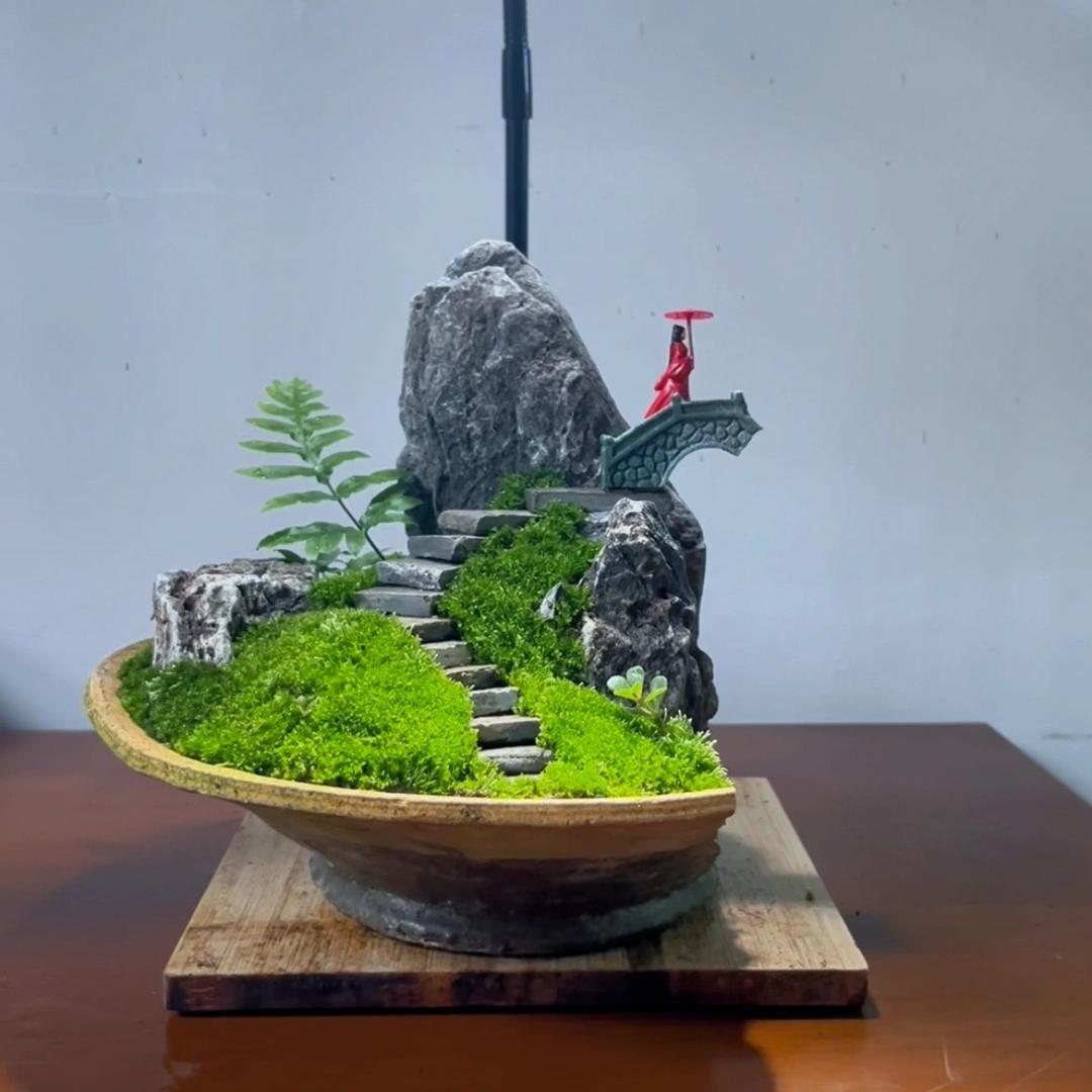 老曹 家庭园艺