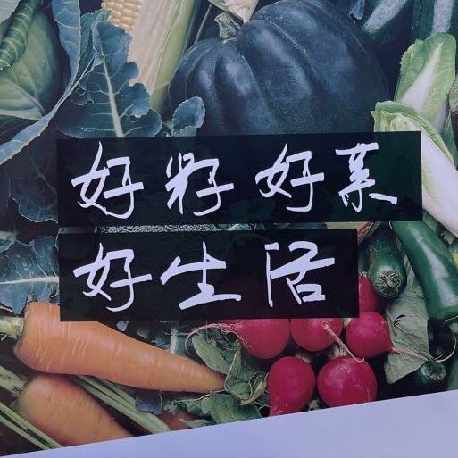 寿光天启种苗严选