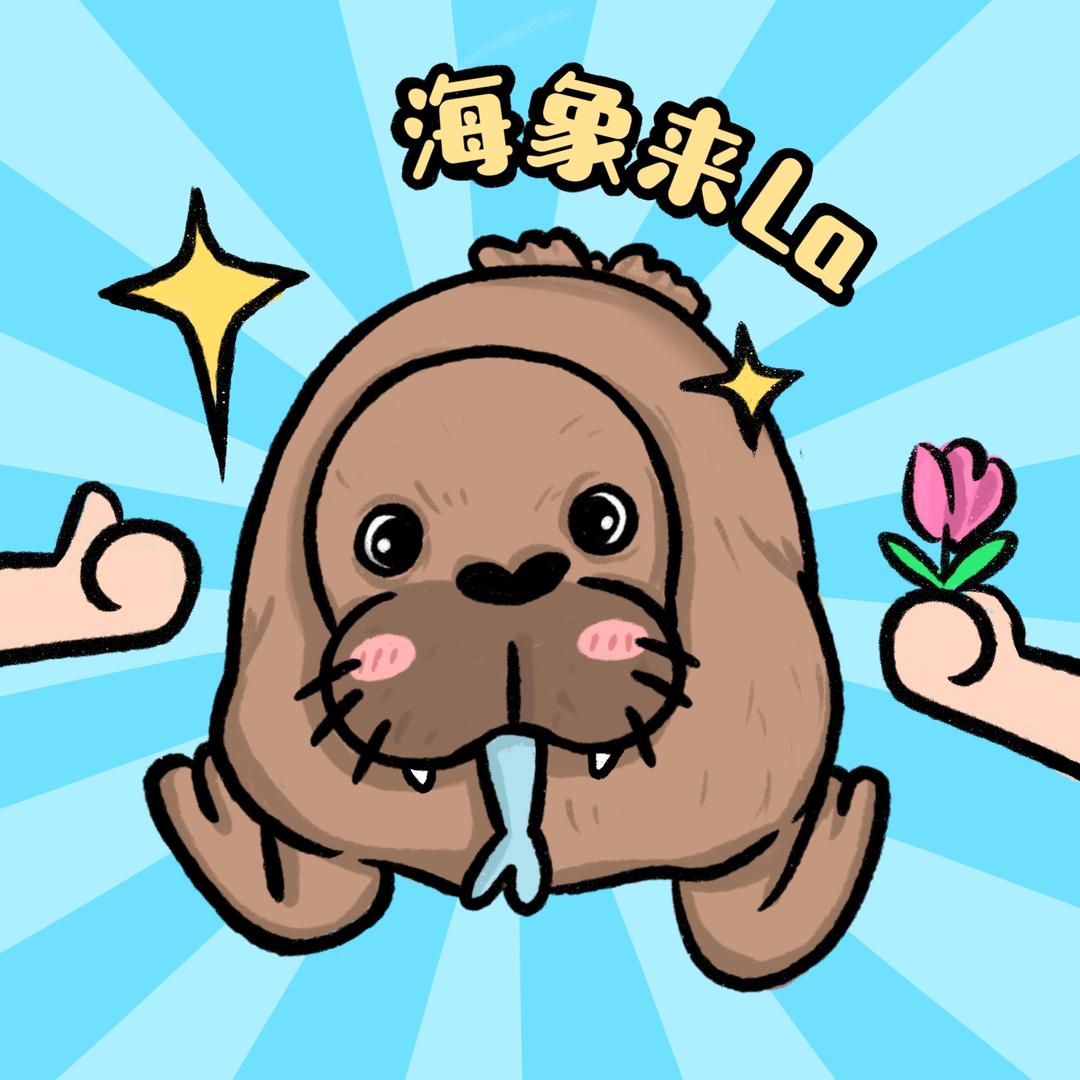 海象来la