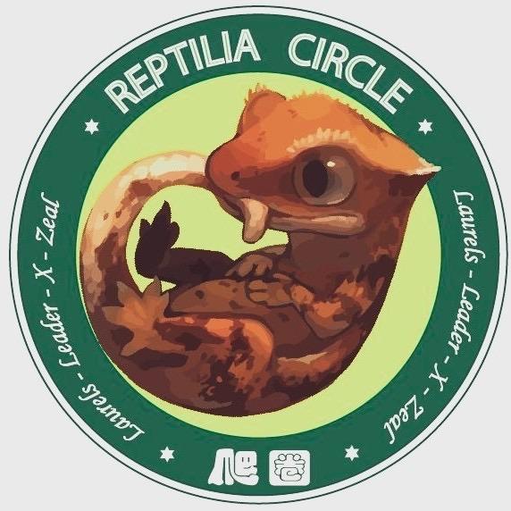 爬圈哈尔滨爬宠实体店