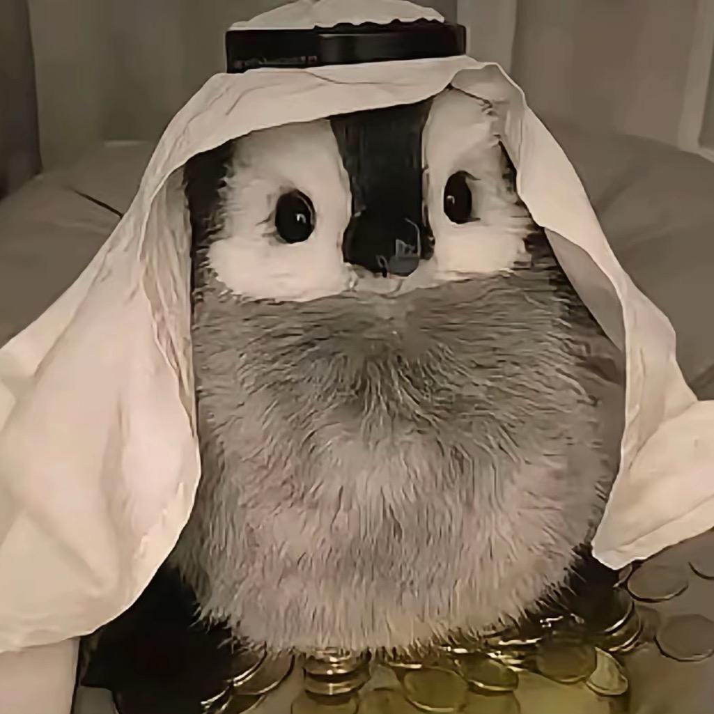 哈尼比比