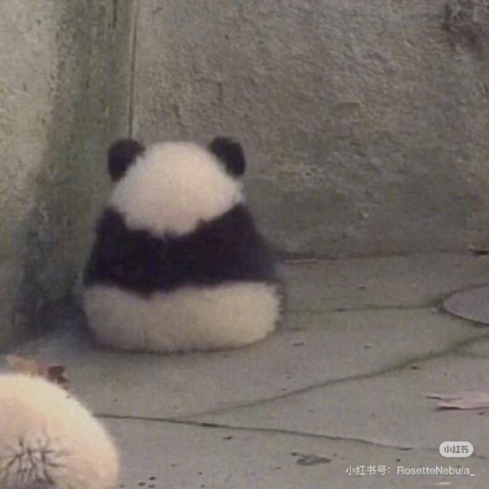 不摇滚了