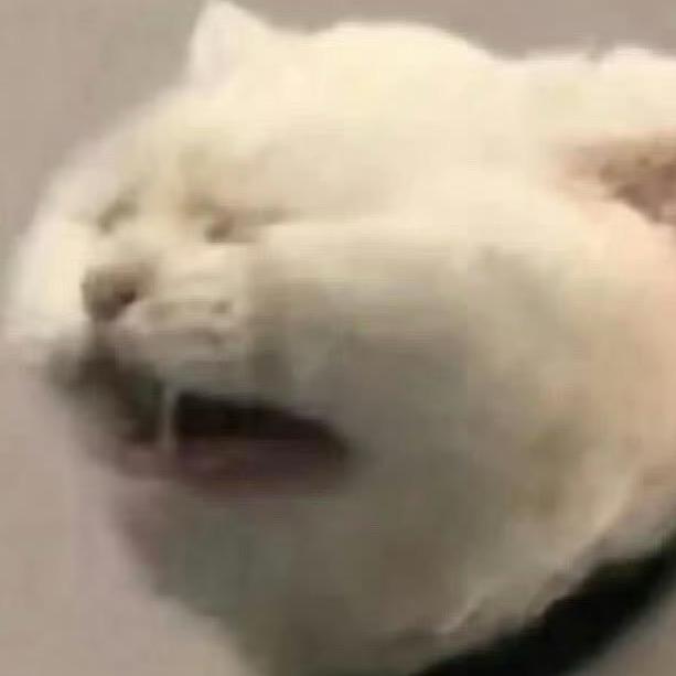 zz