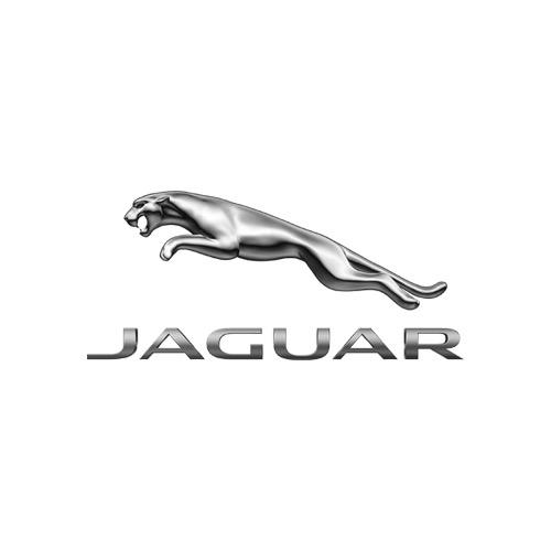 JAGUAR6688