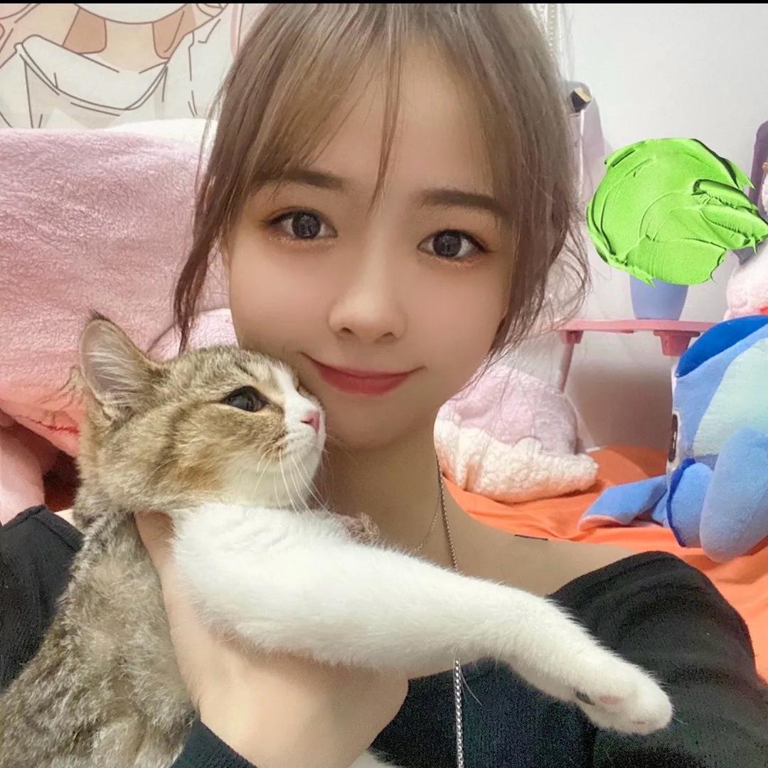 TT羊毛日记