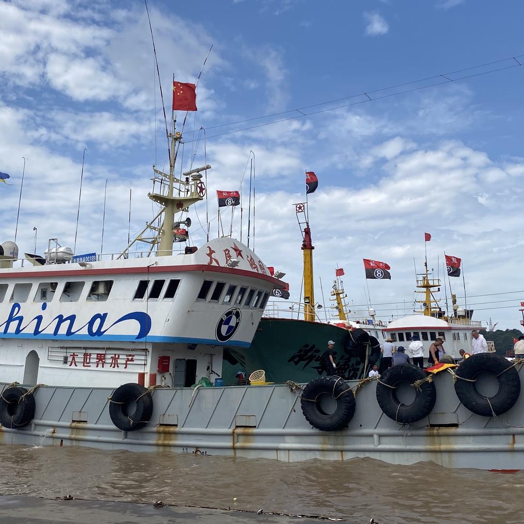 遇上鲜白姐海鲜