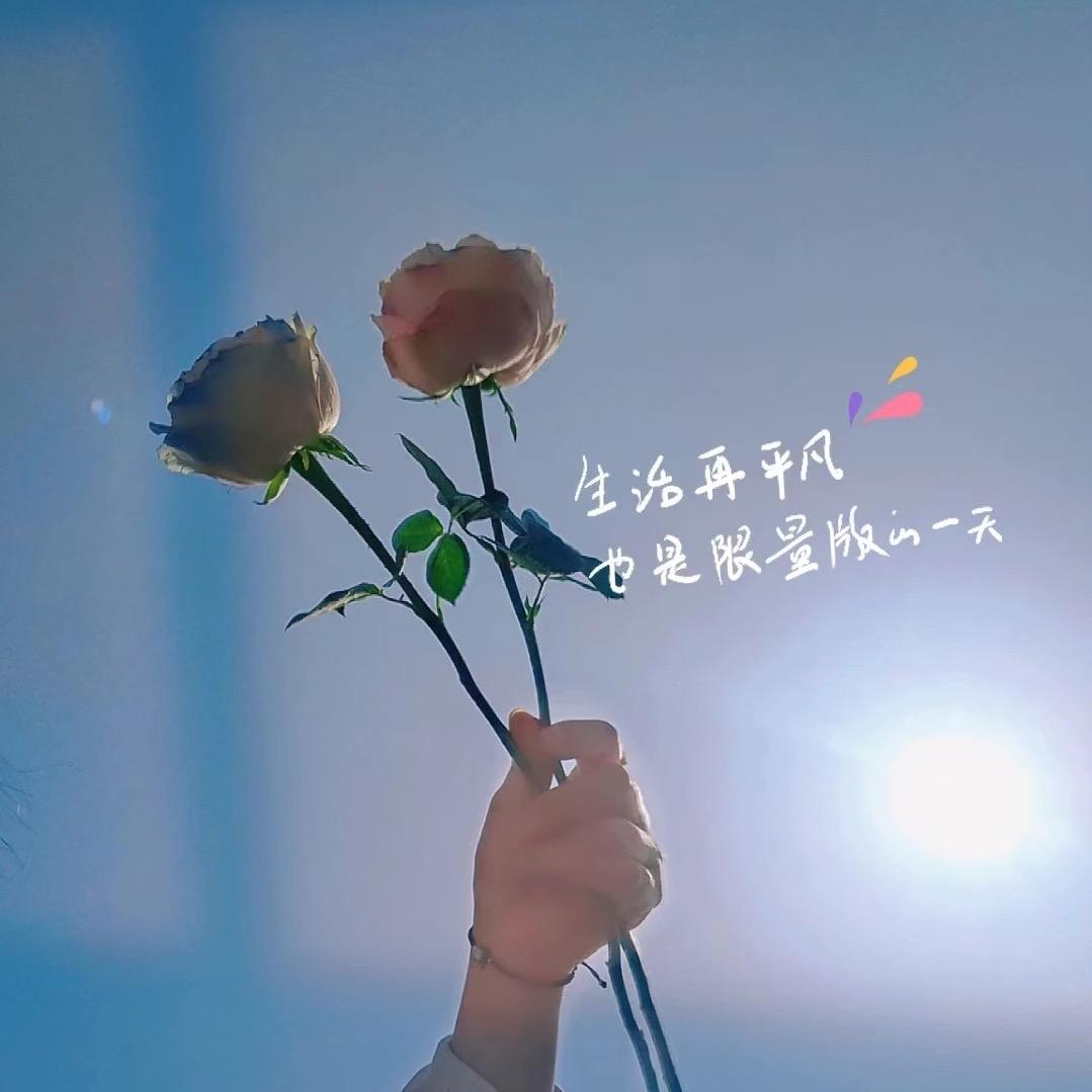 糖果🍬🍬🍬