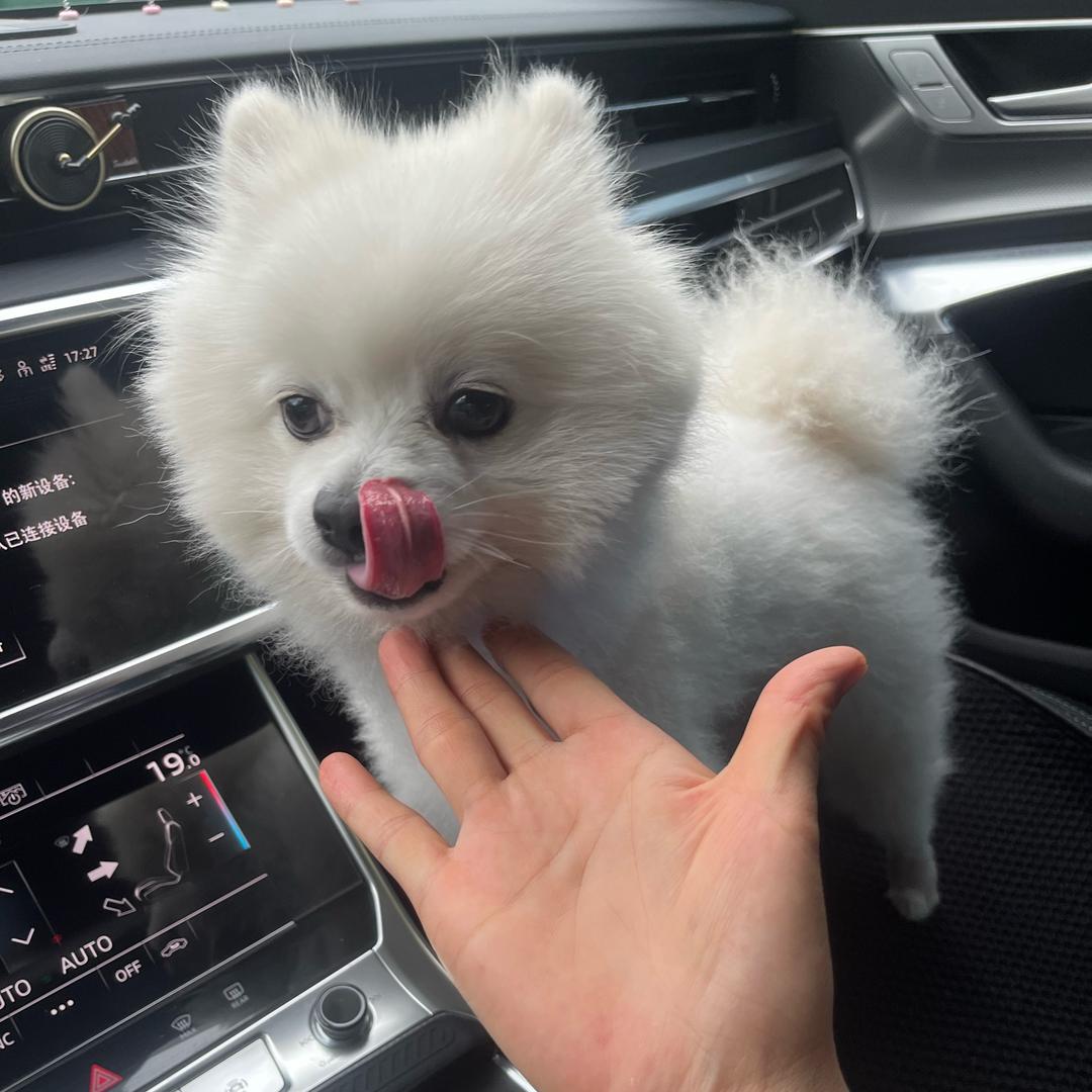 丽姐