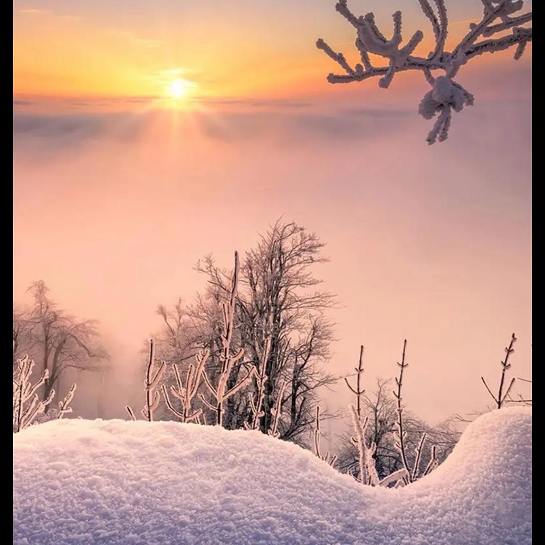 果果昔阳