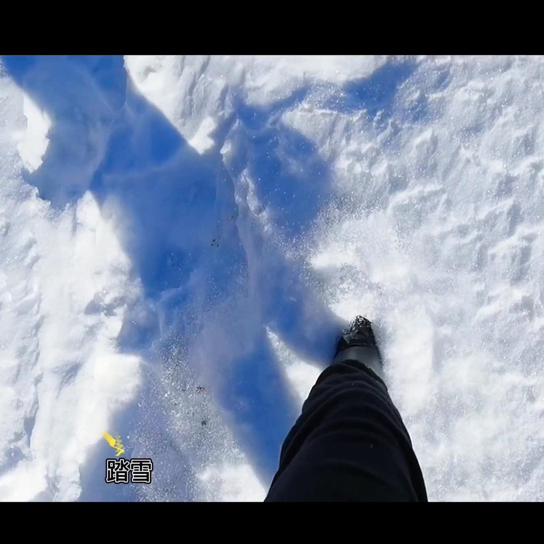 踏雪（Good分享）