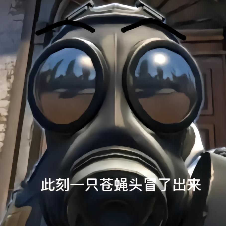 CSGO-蛤蟆