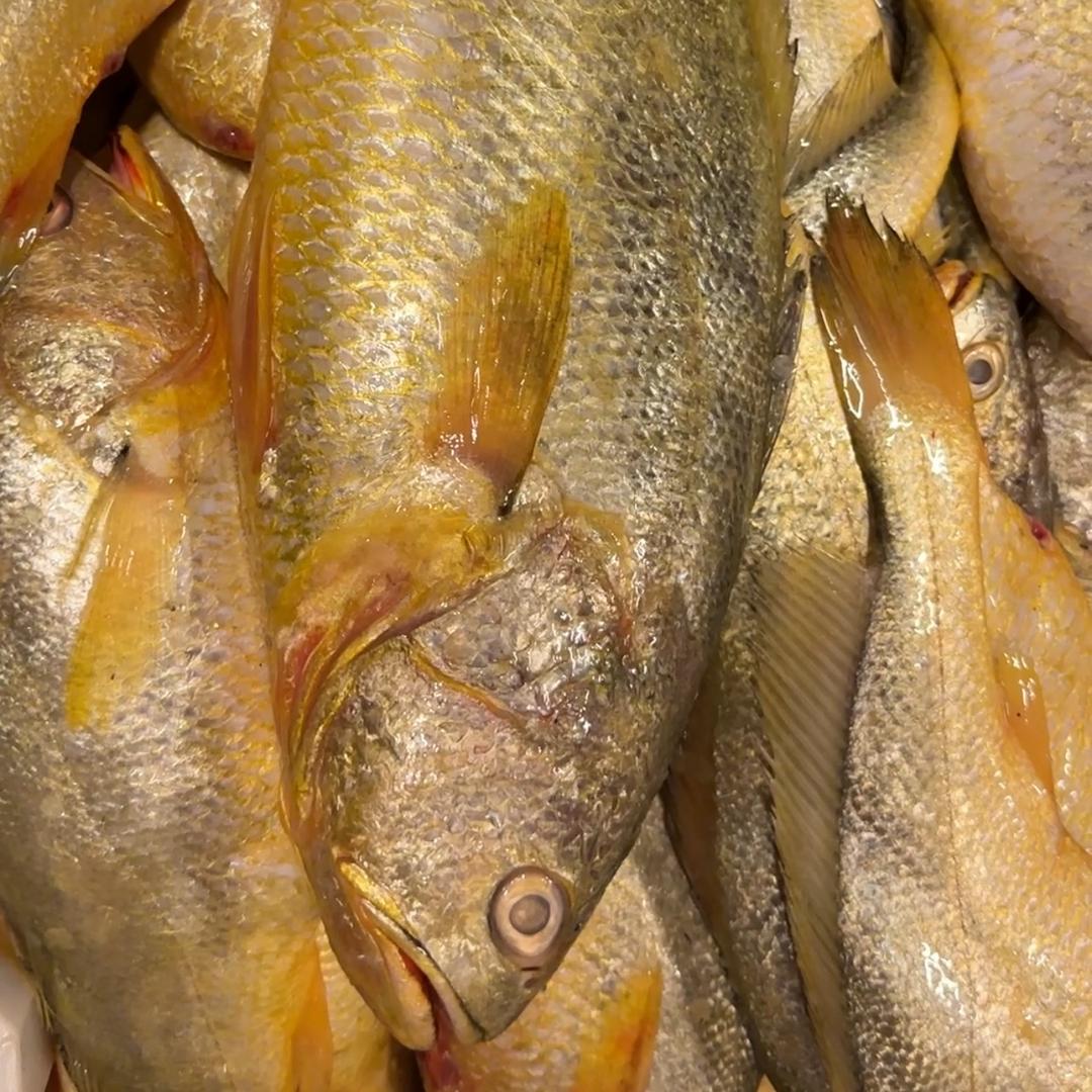 巨荣