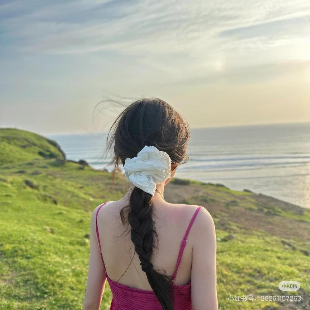 ¹只眠羊🐏